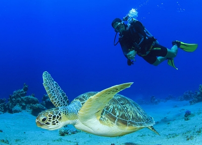 Diving in Antalya